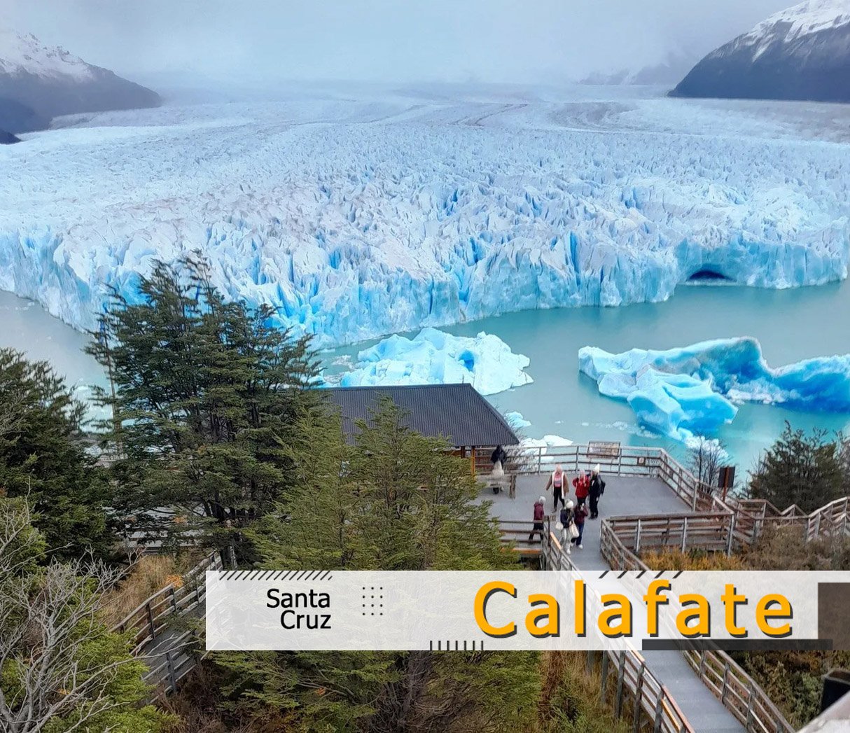 Calafate