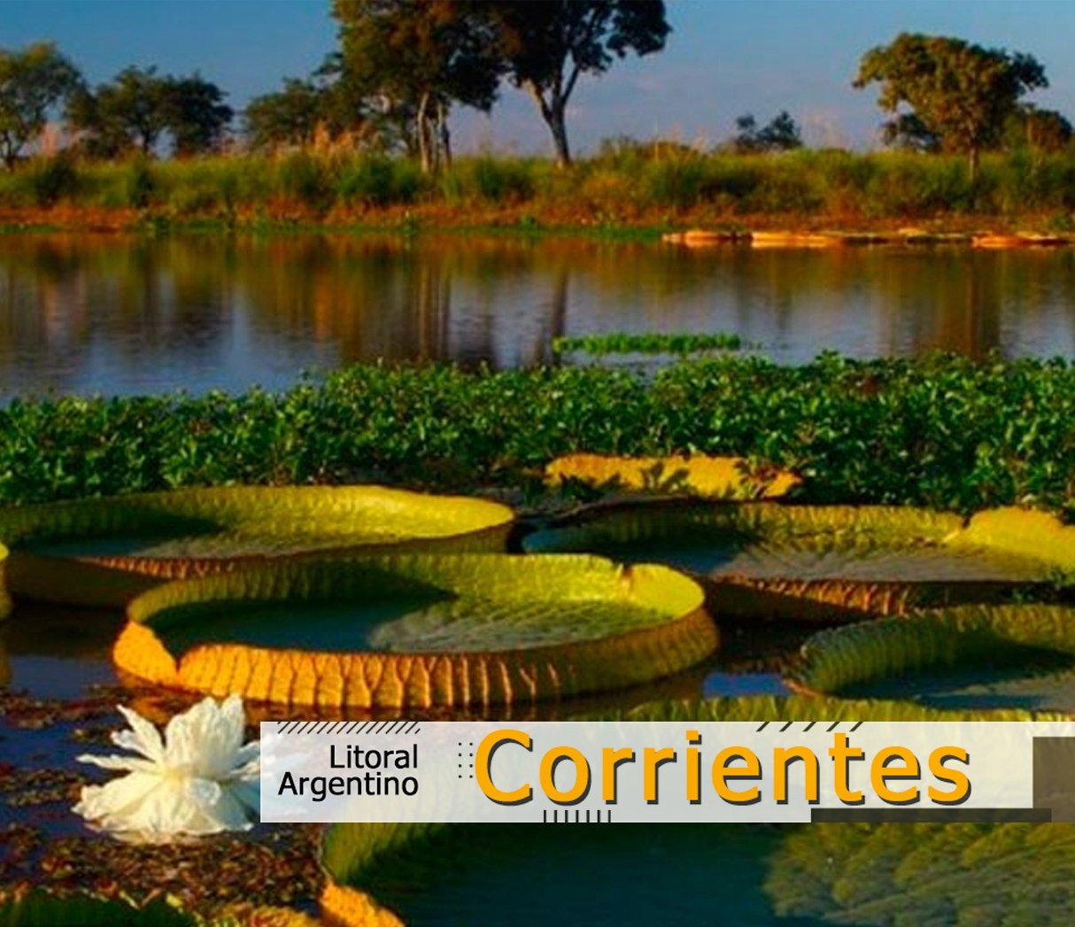 corrientes