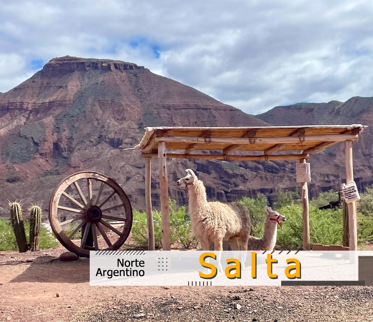 salta