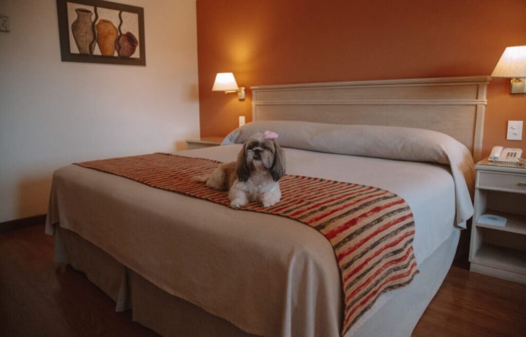 Casa Real Hotel